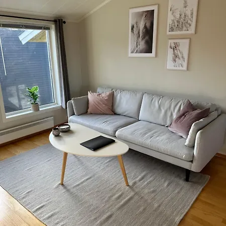 Lejlighed Northern Lights, Close To City, Free Parking *